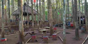 Viral ! Destinasi Wisata Alam Paniisan Rukun Jati Ciamis