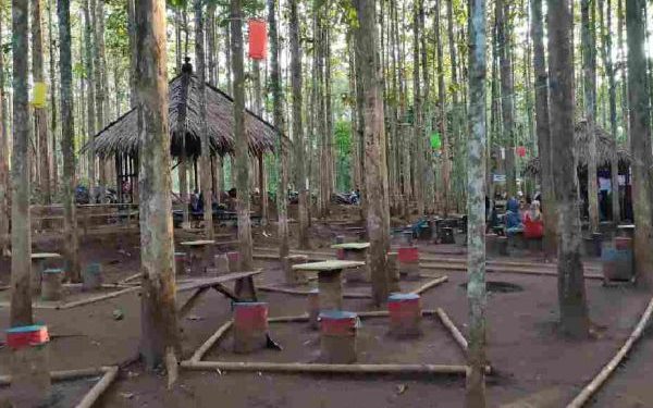 Viral ! Destinasi Wisata Alam Paniisan Rukun Jati Ciamis